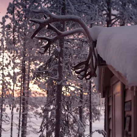 Aurora Dome & Glamping Luxury tent