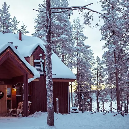 Luxury tent Aurora Dome & Glamping