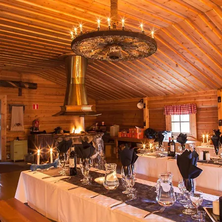 Aurora Dome & Glamping *