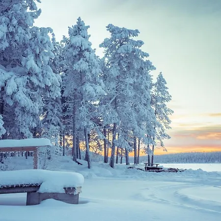 Aurora Dome & Glamping * Muonio