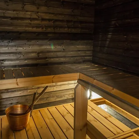 Aurora Dome & Glamping * Muonio