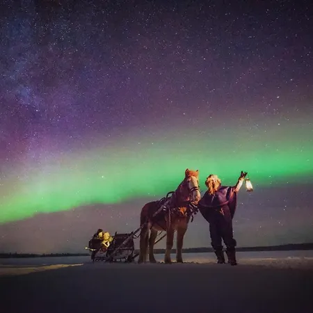 Luxury tent Aurora Dome & Glamping
